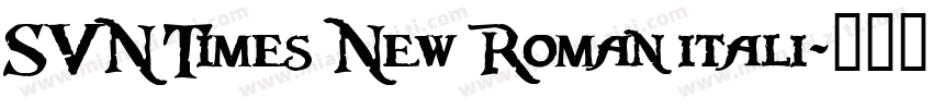 SVN Times New Roman itali字体转换